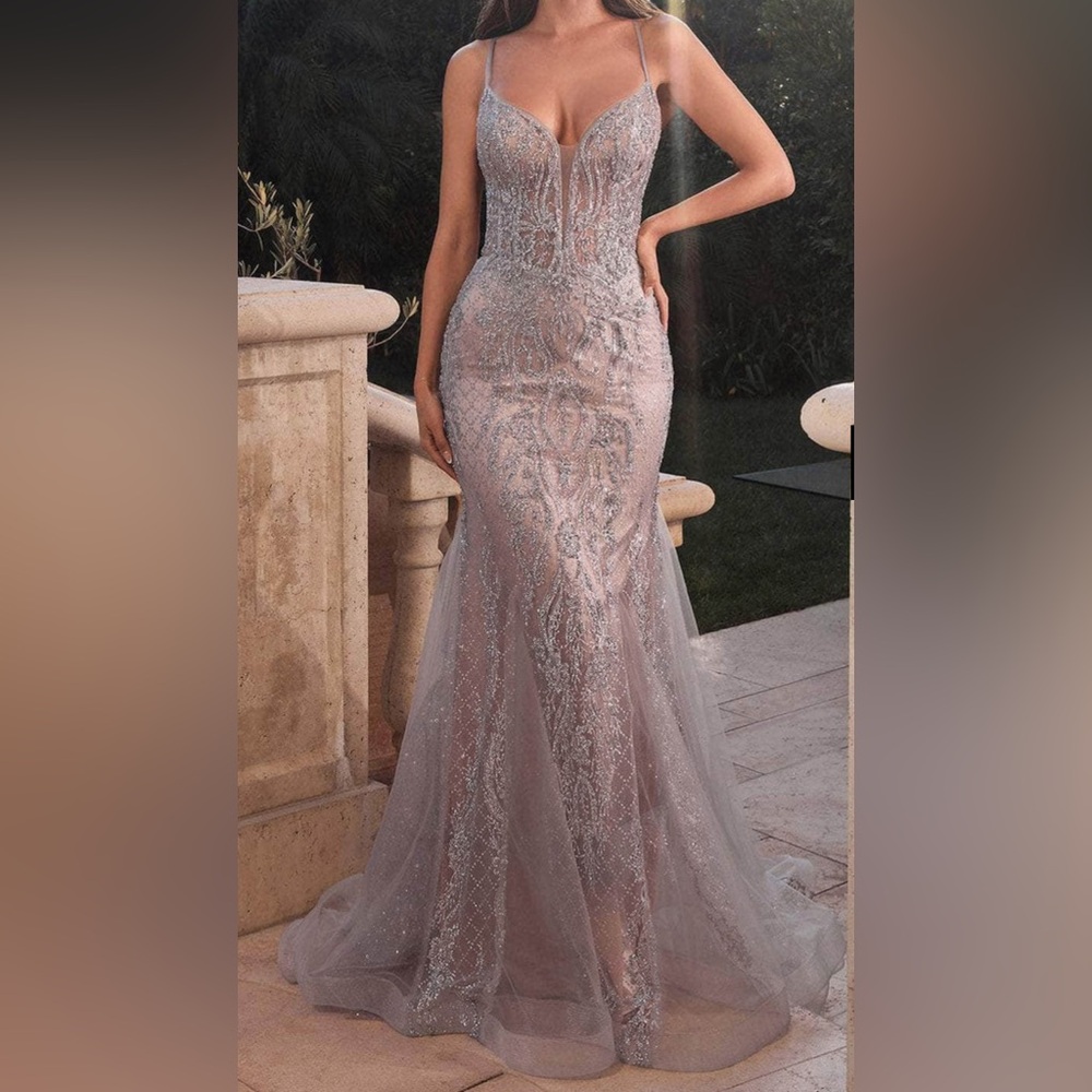 Elegant Silver Evening Gown